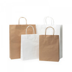 Paper Bag 320mm w x 400mm h Gusset 100mm